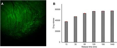 Engineered Bacterial Cellulose Nanostructured Matrix for Incubation and Release of Drug-Loaded Oil in Water Nanoemulsion